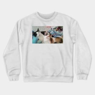 Cats on a bed Crewneck Sweatshirt